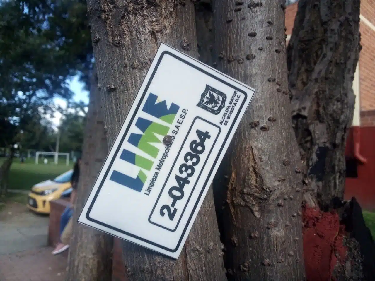 placas