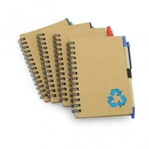 Agenda ecológica T13